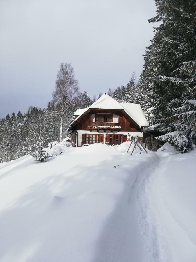 Alpenhaus Ganser-Dixit Mariazell Extérieur photo