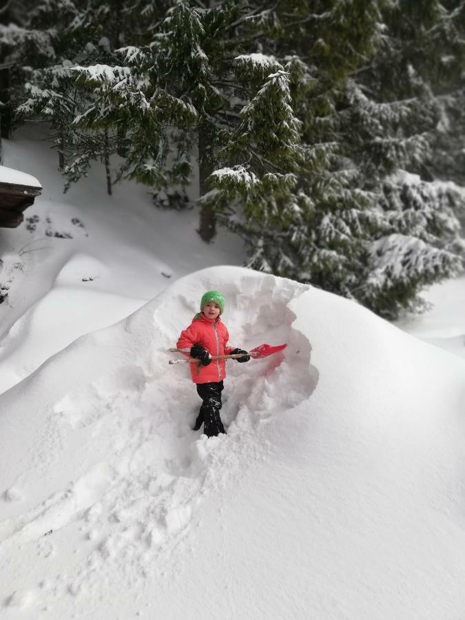 Alpenhaus Ganser-Dixit Mariazell Extérieur photo