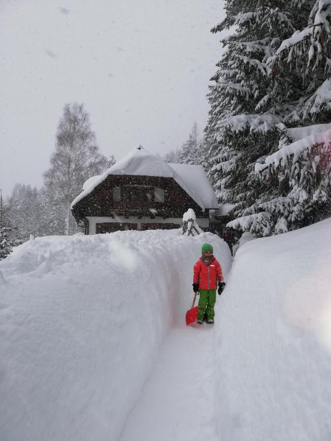 Alpenhaus Ganser-Dixit Mariazell Extérieur photo